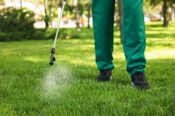 Best Pest Control for Homes  in Oakhurst, NJ