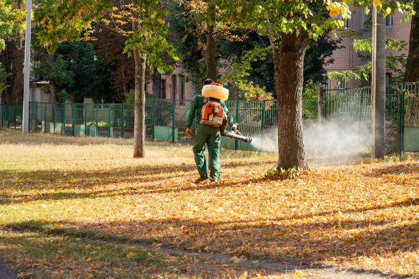 Best Local Pest Control Services  in Oakhurst, NJ