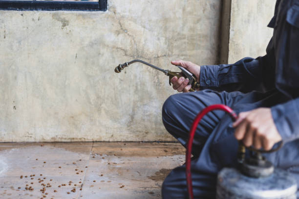 Best Mosquito Control Services  in Oakhurst, NJ